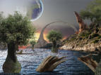 Wasserwelt
