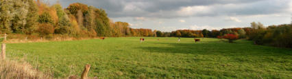 Schultenhook bei Westbevern